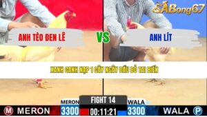 TRẬN 14 CPC2 24/4/2026