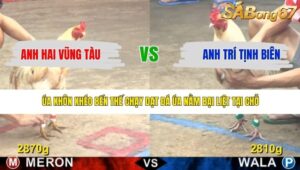 TRẬN 1 CPC5 6/5/2026