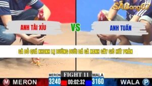 TRẬN 11 CPC3 14/5/2026