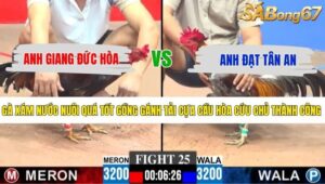 TRẬN 25 CPC3 14/5/2026
