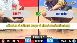TRẬN 7 CPC3 14/5/2026