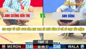 TRẬN 12 CPC2 9/5/2026