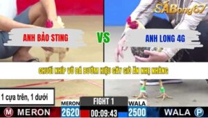 TRẬN 1 CPC2 13/5/2026