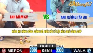TRẬN 1 CPC3 10/5/2026