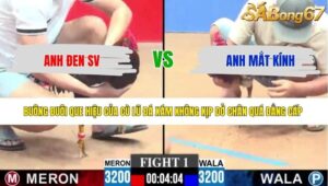 TRẬN 1 CPC3 16/5/2026