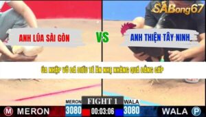 TRẬN 1 CPC3 21/5/2026