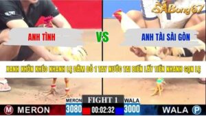 TRẬN 1 CPC3 7/5/2026