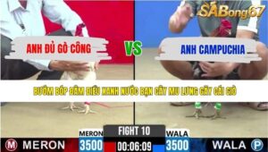 TRẬN 10 CPC2 11/5/2026