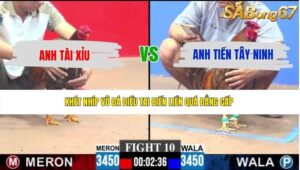 TRẬN 10 CPC3 21/5/2026