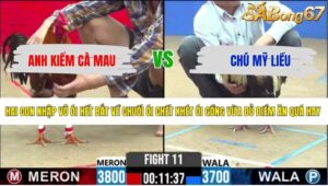 TRẬN 11 CPC2 15/5/2026