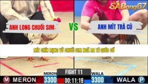 TRẬN 11 CPC2 20/5/2026