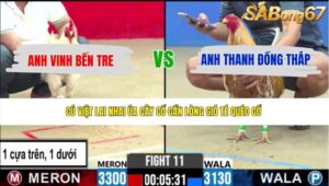 TRẬN 11 CPC2 21/5/2026