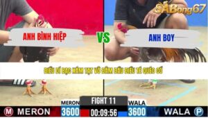 TRẬN 11 CPC2 22/5/2026