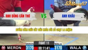 TRẬN 11 CPC2 3/5/2026