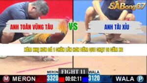 TRẬN 11 CPC3 17/5/2026