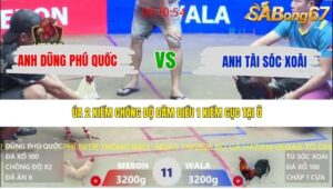 TRẬN 11 XÀ XÍA 7/5/2026