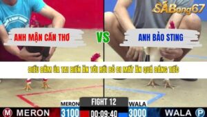 TRẬN 12 CPC2 1/5/2026