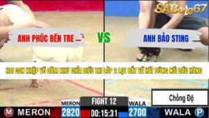 TRẬN 12 CPC2 15/5/2026