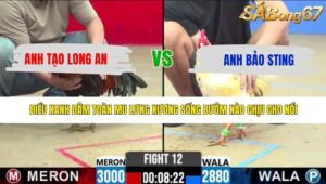 TRẬN 12 CPC2 8/5/2026