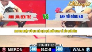 TRẬN 12 CPC3 21/5/2026