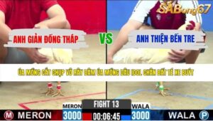 TRẬN 13 CPC2 21/5/2026