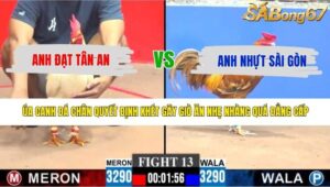 TRẬN 13 CPC3 10/5/2026