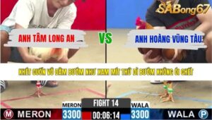 TRẬN 14 CPC2 11/5/2026