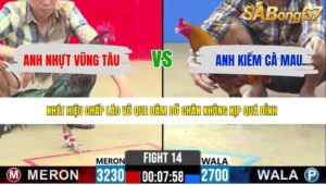 TRẬN 14 CPC2 15/5/2026