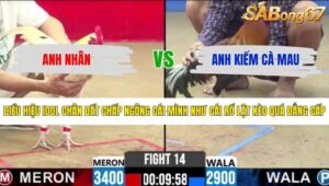TRẬN 14 CPC2 2/5/2026
