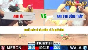 TRẬN 14 CPC3 17/5/2026