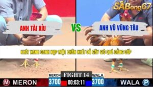 TRẬN 14 CPC3 21/5/2026
