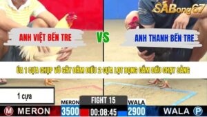 TRẬN 15 CPC2 11/5/2026