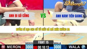 TRẬN 15 CPC2 13/5/2026