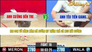 TRẬN 16 CPC2 13/5/2026