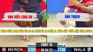 TRẬN 16 CPC2 20/5/2026
