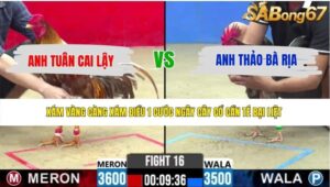 TRẬN 16 CPC2 21/5/2026