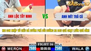 TRẬN 16 CPC3 11/5/2026