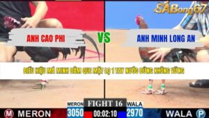 TRẬN 16 CPC3 16/5/2026