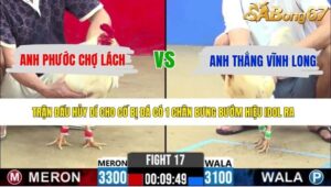 TRẬN 17 CPC2 13/5/2026