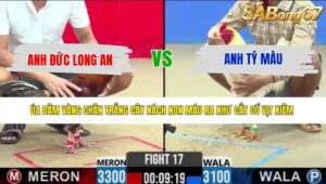 TRẬN 17 CPC2 21/5/2026