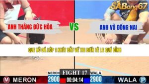 TRẬN 17 CPC3 9/5/2026