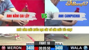 TRẬN 18 CPC2 3/5/2026