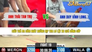 TRẬN 19 CPC2 11/5/2026