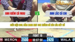 TRẬN 19 CPC2 2/5/2026
