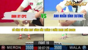 TRẬN 19 CPC2 21/5/2026