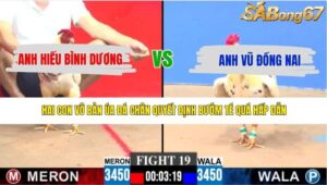 TRẬN 19 CPC3 10/5/2026
