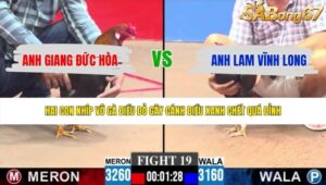 TRẬN 19 CPC3 17/5/2026