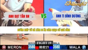 TRẬN 19 CPC3 21/5/2026