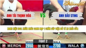 TRẬN 2 CPC2 15/5/2026
