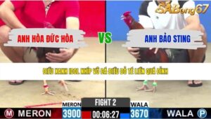 TRẬN 2 CPC2 19/5/2026